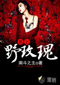 爱上野玫瑰小说封面