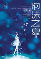 泡沫之夏II（9年特辑）小说封面
